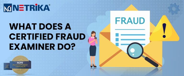 <strong>What does a Certified Fraud Examiner do?</strong>