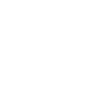 Auditor-icon